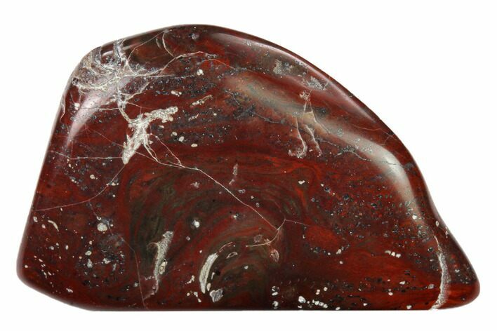 Polished Stromatolite (Collenia) - Minnesota #155574